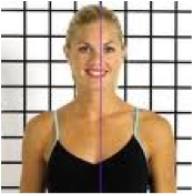 biomechanics