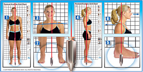 posture